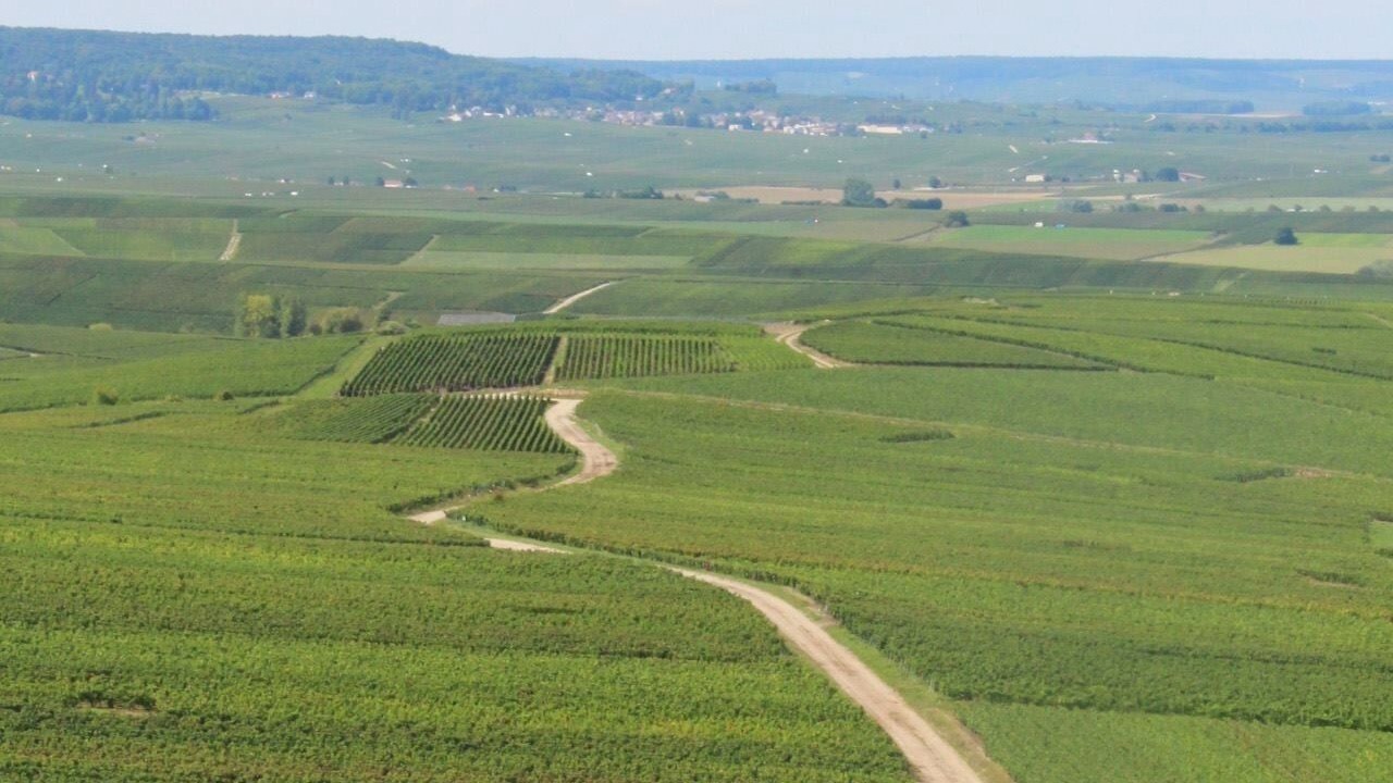 Photo of Others in Hincmar