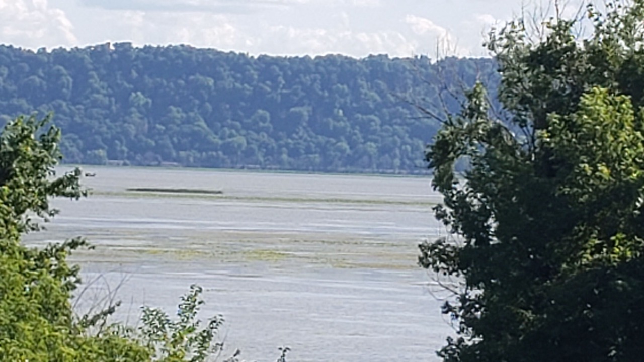 Photo of Others in Ferryville