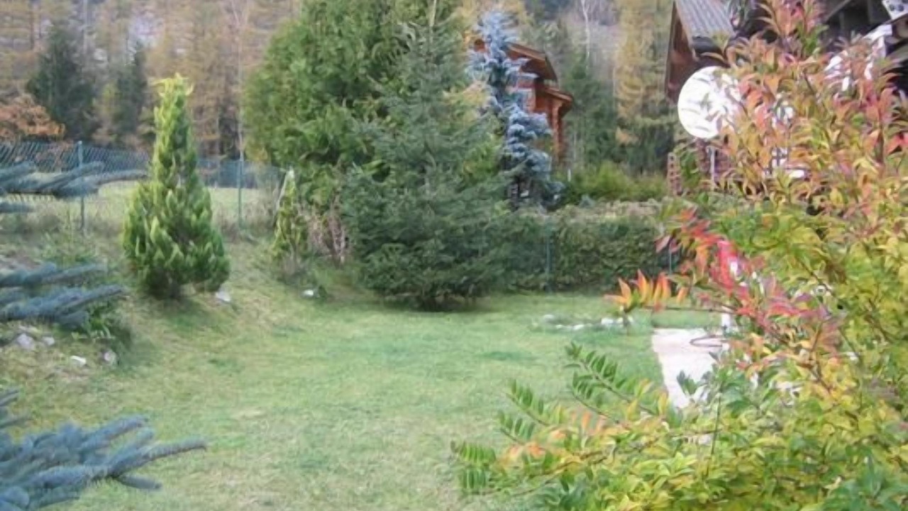 Photo of Others in Saleinaz