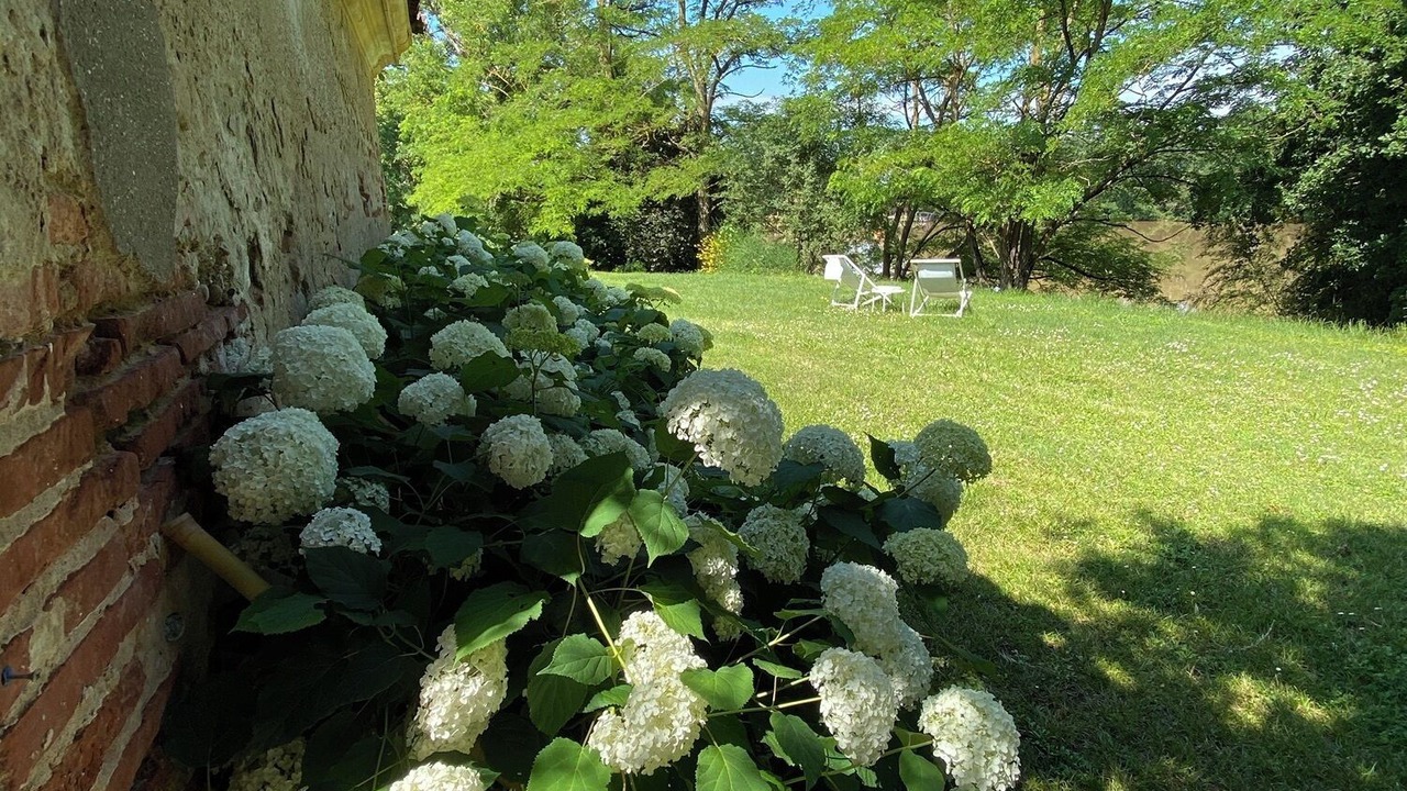 Photo of Outdoor in Marssac-sur-Tarn