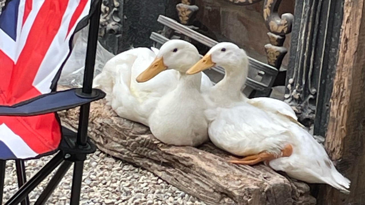 Photo of Others in Yarm