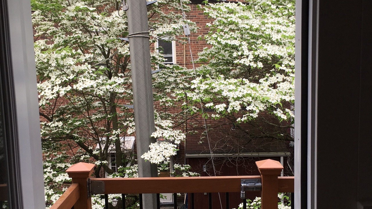Photo of Patio Balcony in South Side Flats