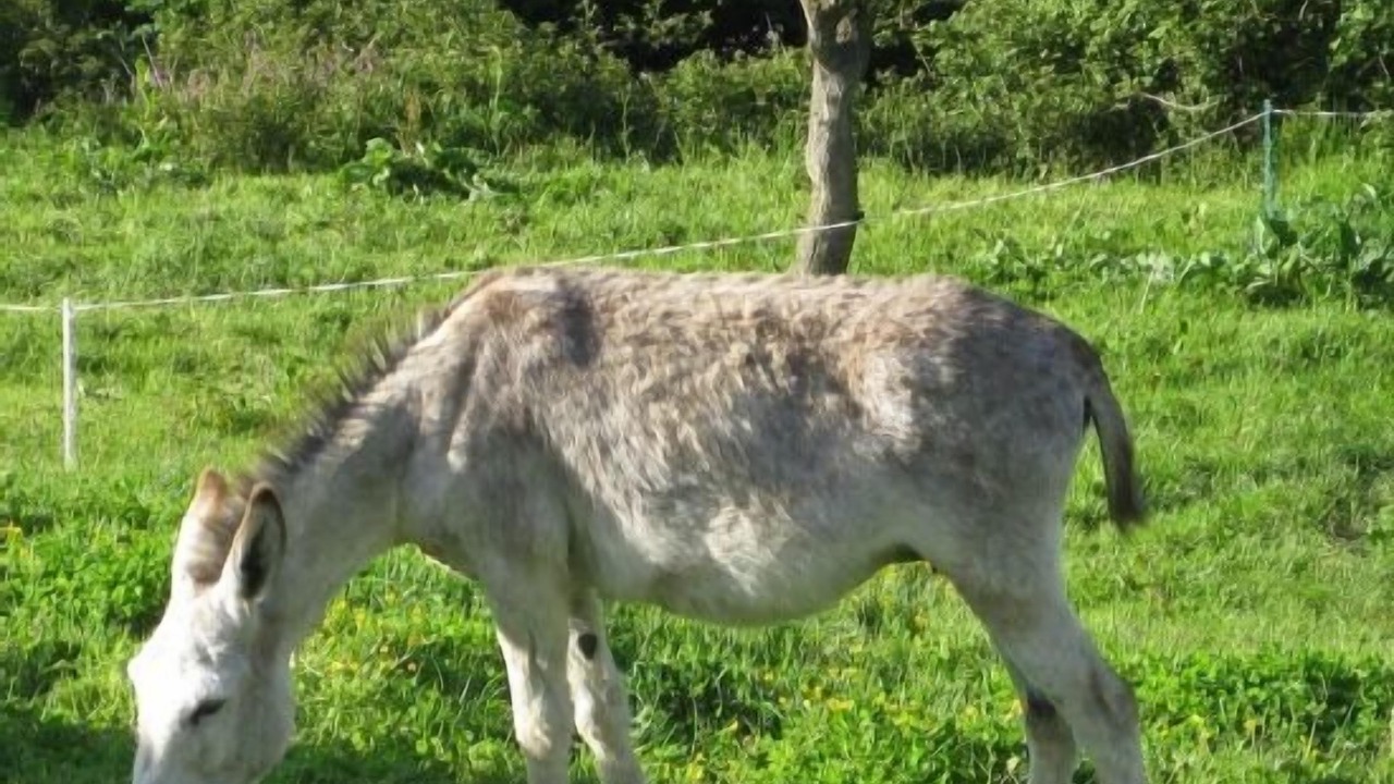Photo of Outdoor in Basaburua