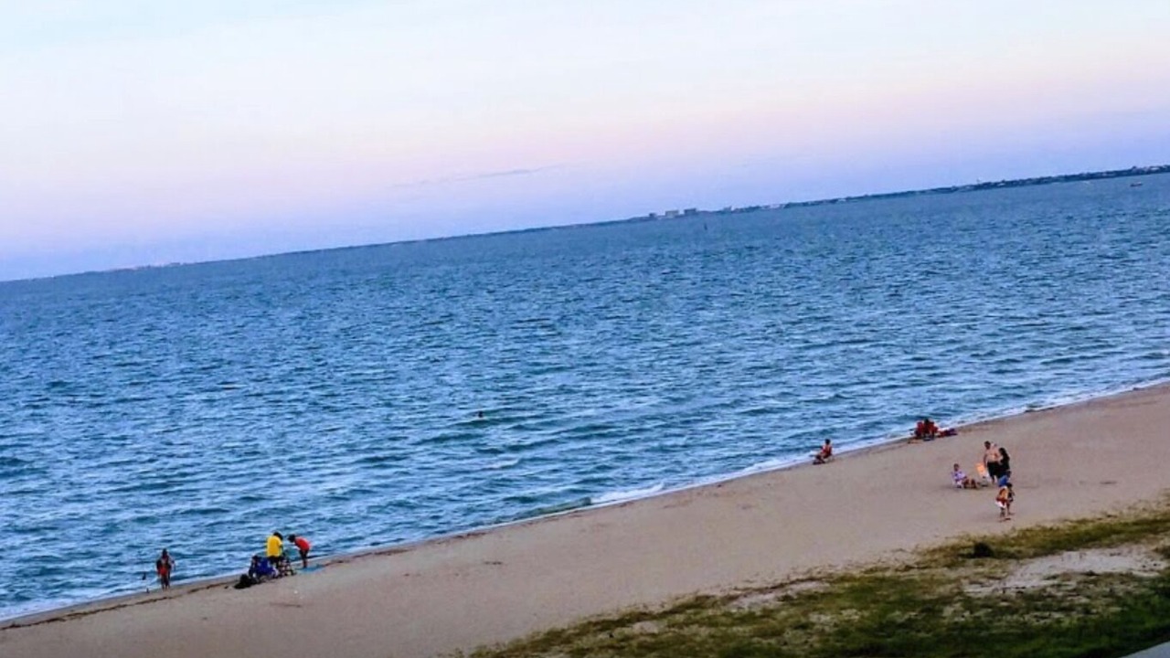 Photo of Others in North Beach