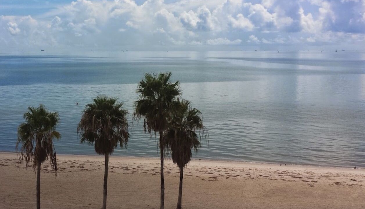 Photo of Others in North Beach