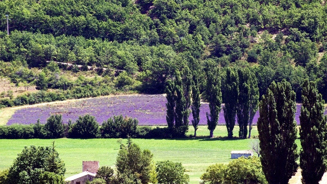 Photo of Others in Banon