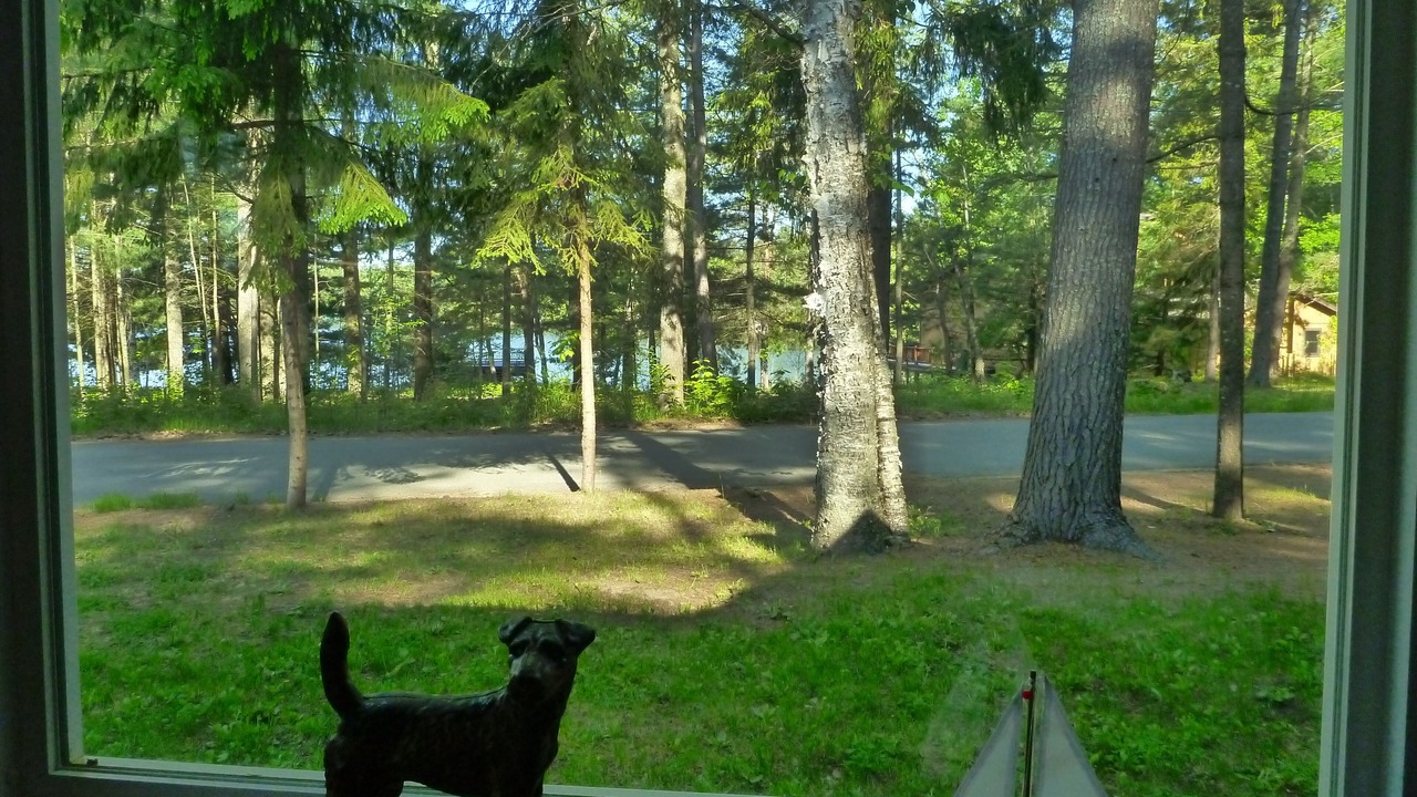 Photo of Outdoor in Saranac Lake