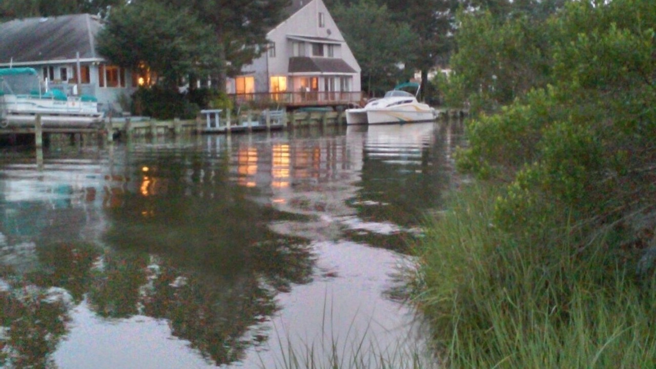 Photo of Others in Ocean Pines