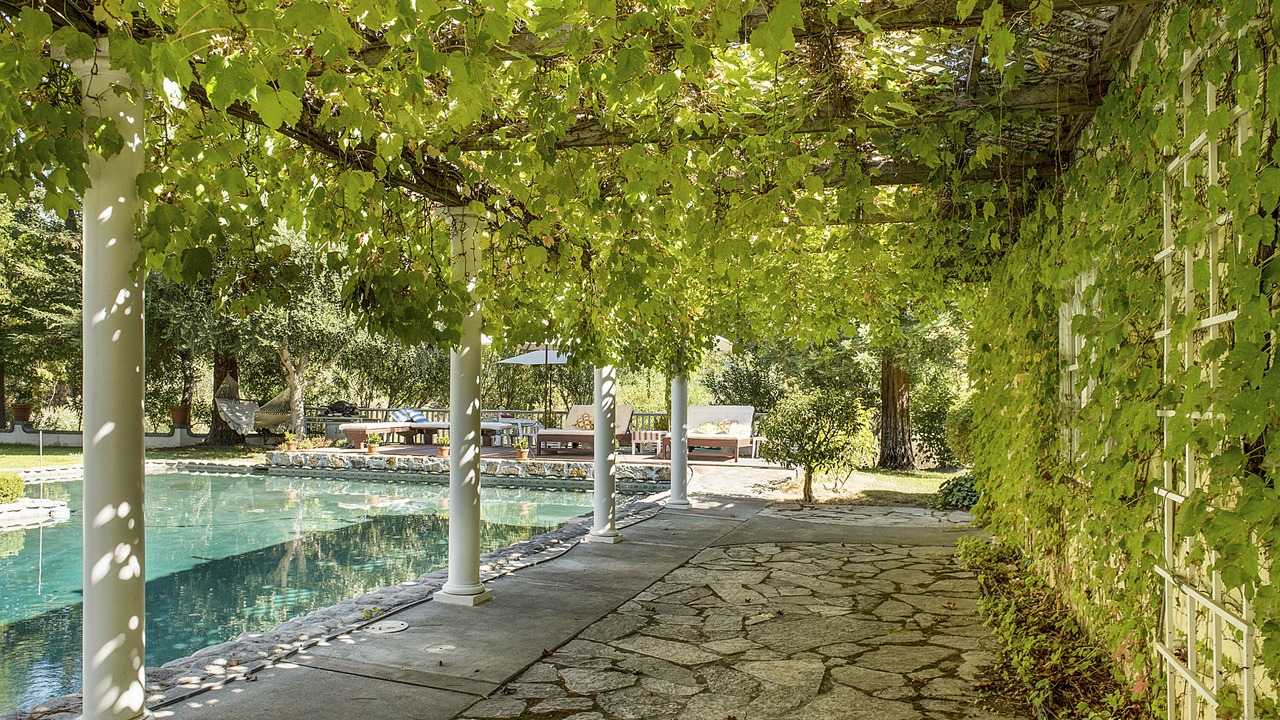 Photo of Outdoor in St. Helena