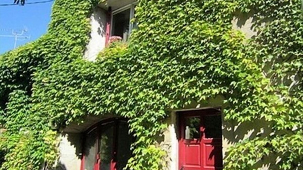 Photo of Others in Caussiniojouls