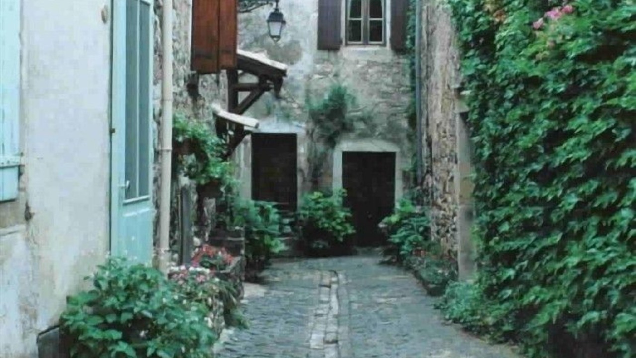 Photo of Others in Caussiniojouls