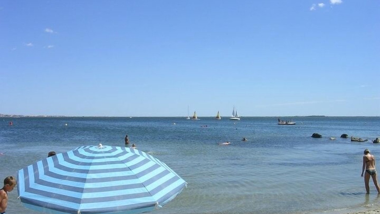 Photo of Others in Caussiniojouls