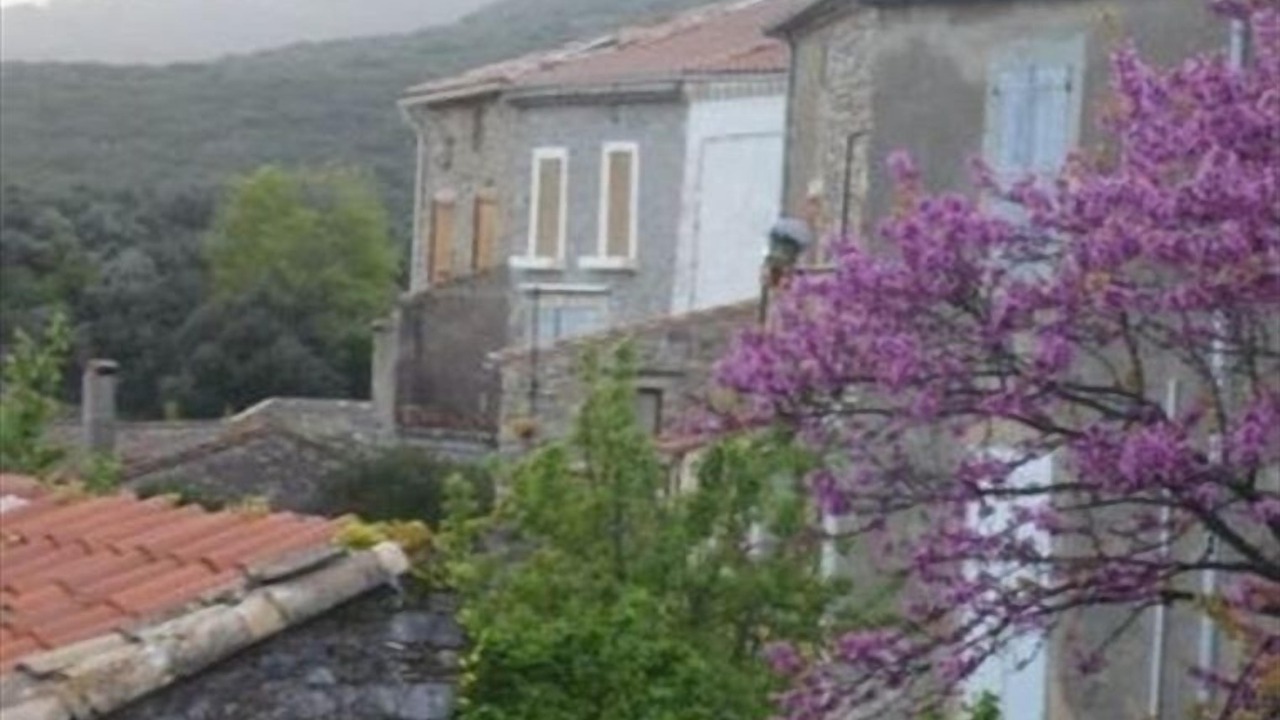 Photo of Others in Caussiniojouls