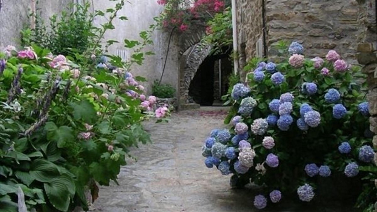 Photo of Others in Caussiniojouls