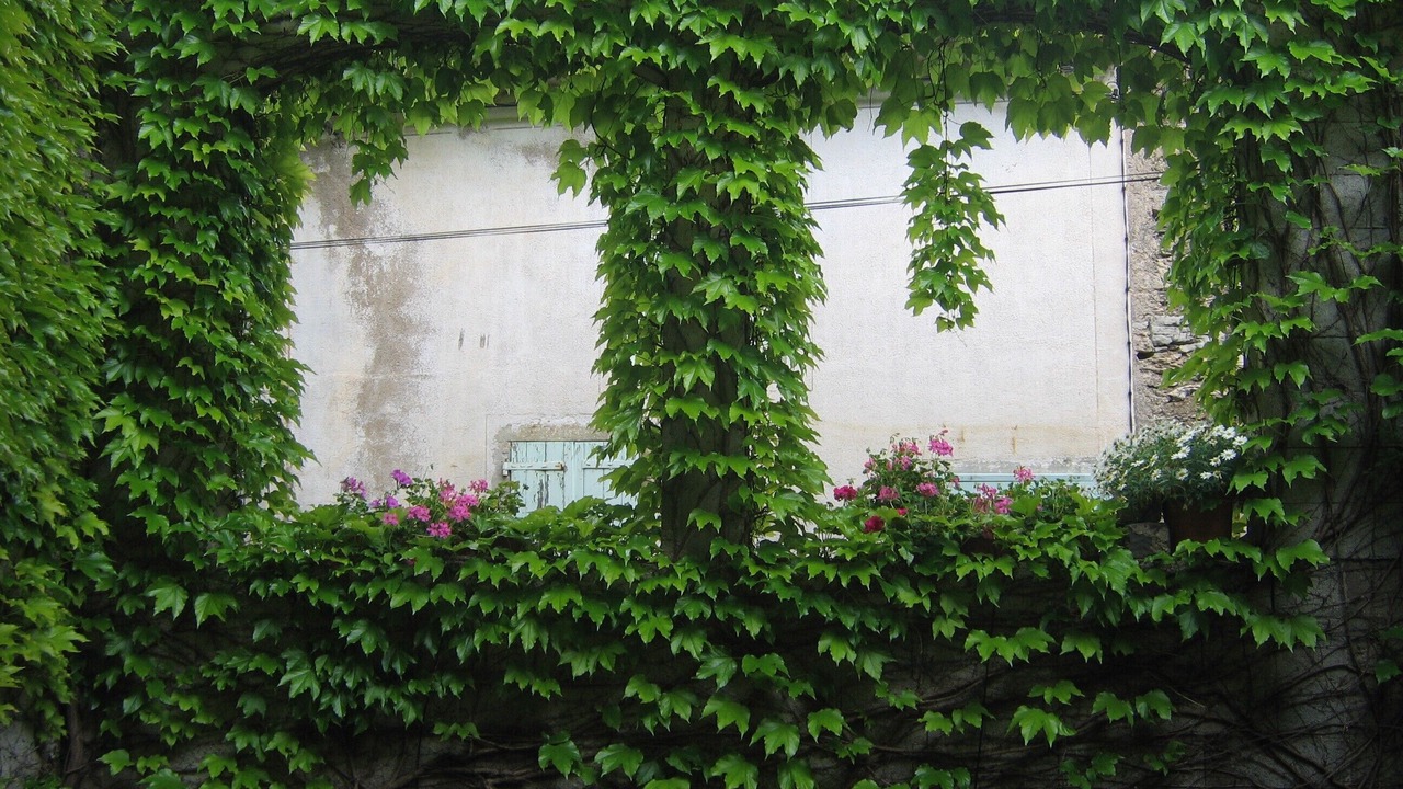 Photo of Outdoor in Caussiniojouls