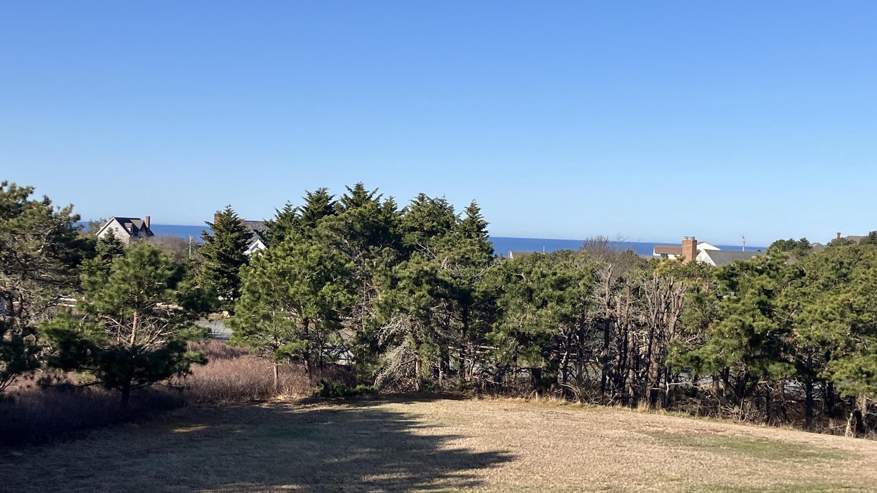 Photo of Outdoor in Truro