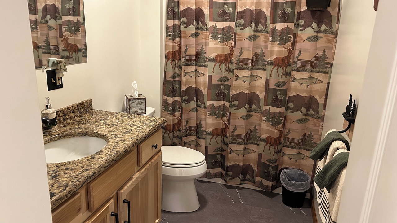 Photo of Bathroom in Lake Placid