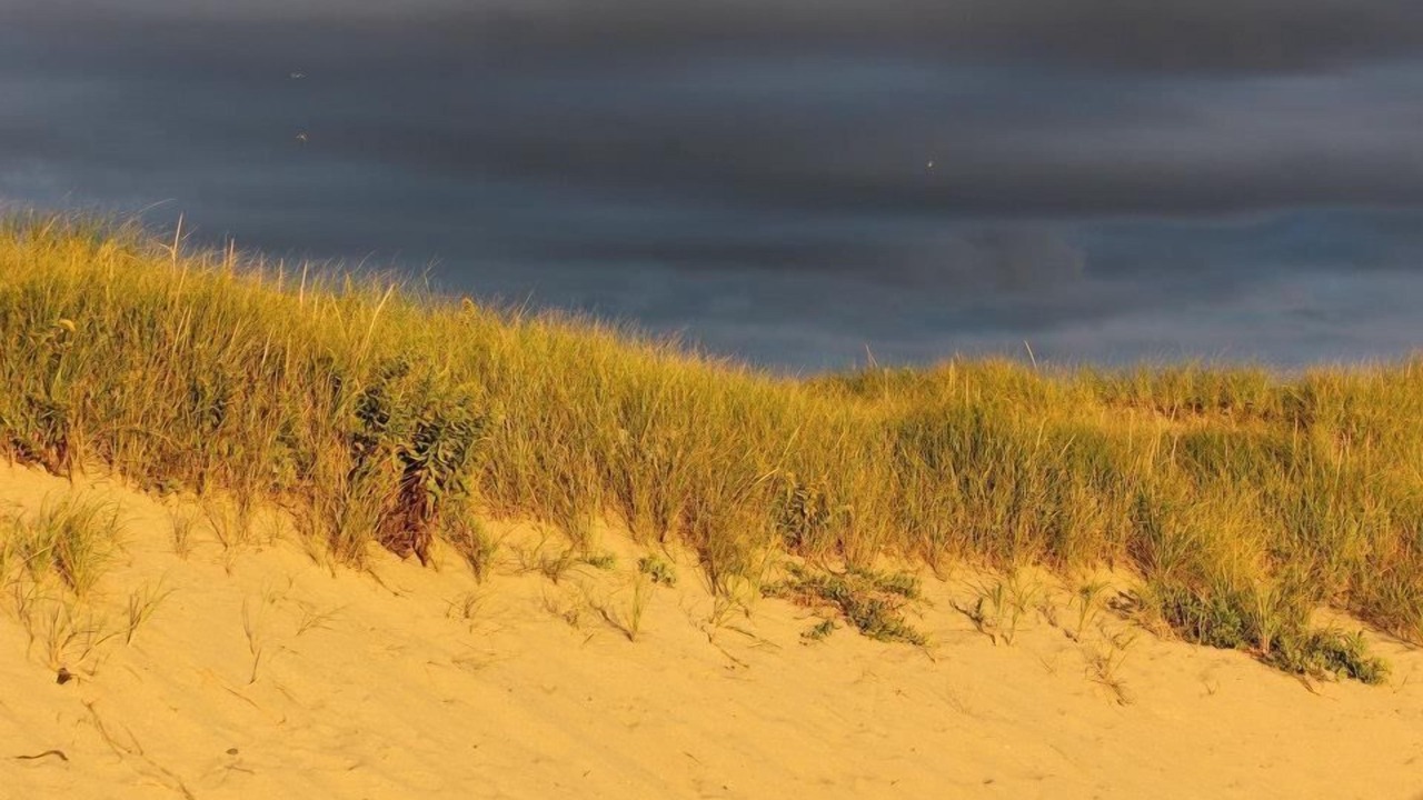 Photo of Others in North Truro