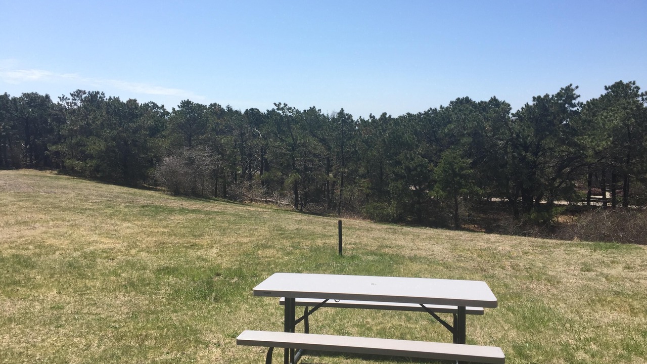 Photo of Outdoor in North Truro