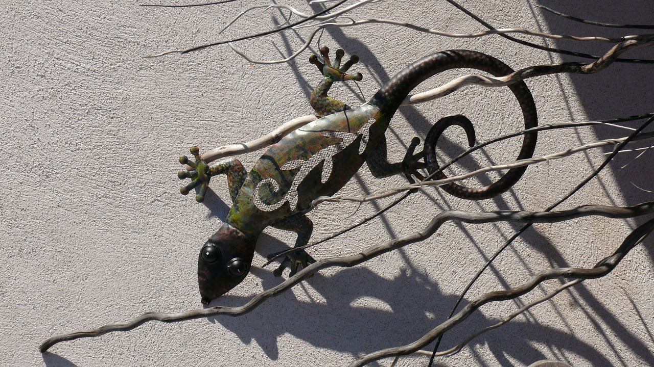 Photo of Outdoor in Saint-Series