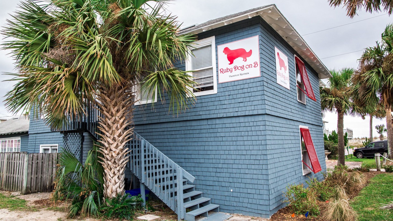 Photo of Outdoor in St. Augustine Beach