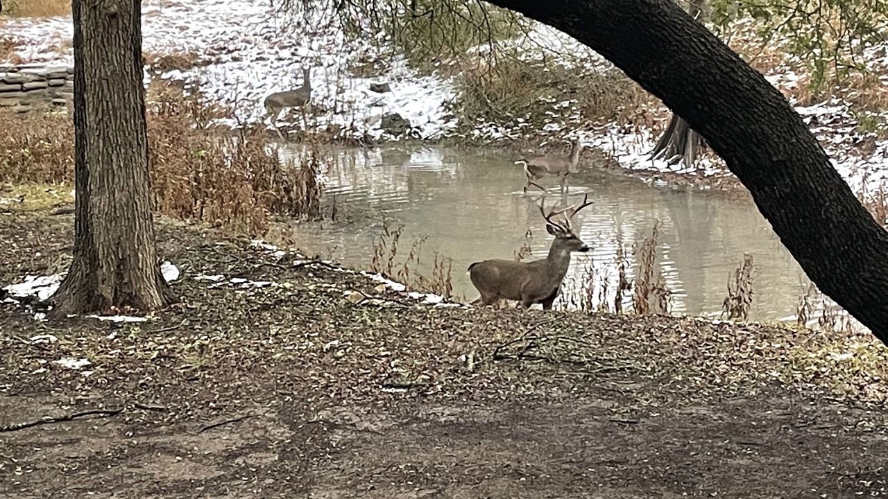 Photo of Others in Austin