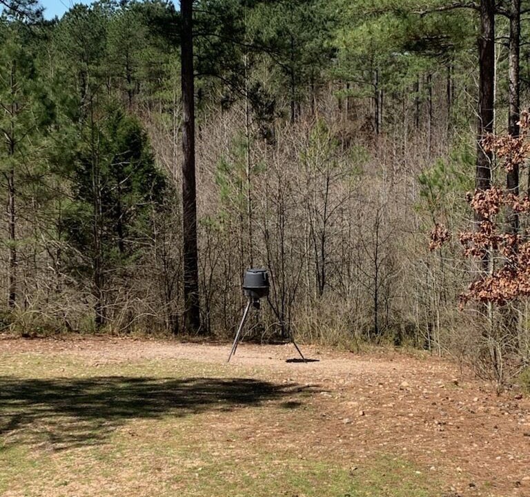 Photo of Outdoor in Murfreesboro