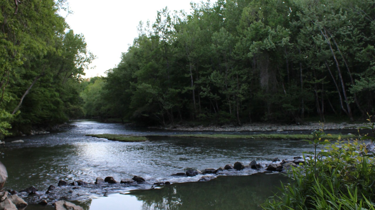 Photo of Others in Murfreesboro