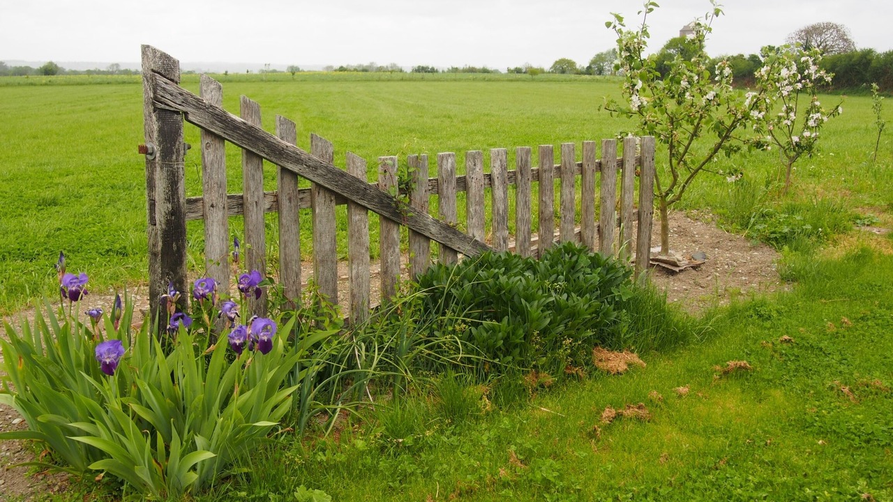 Photo of Outdoor in Vains