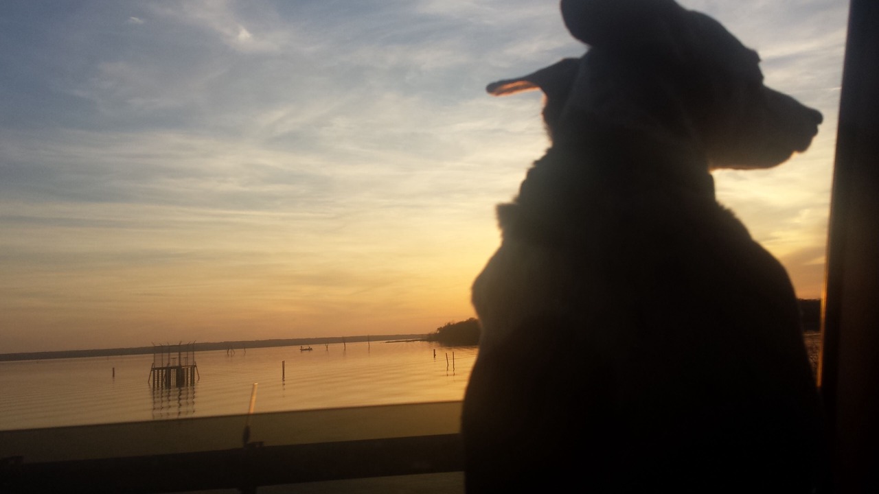 Photo of Others in Wills Point