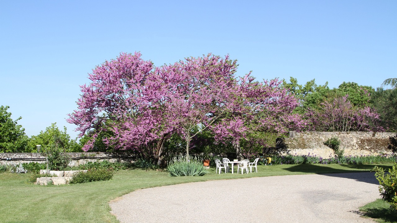 Photo of Outdoor in Leyritz-Moncassin