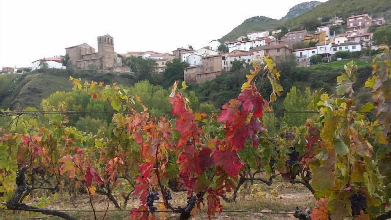 Photo of Outdoor in Santa Engracia del Jubera