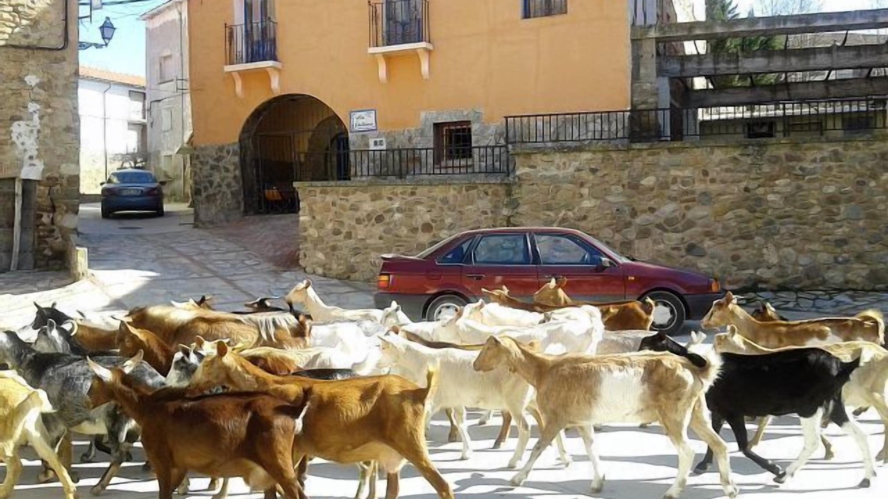 Photo of Outdoor in Santa Engracia del Jubera