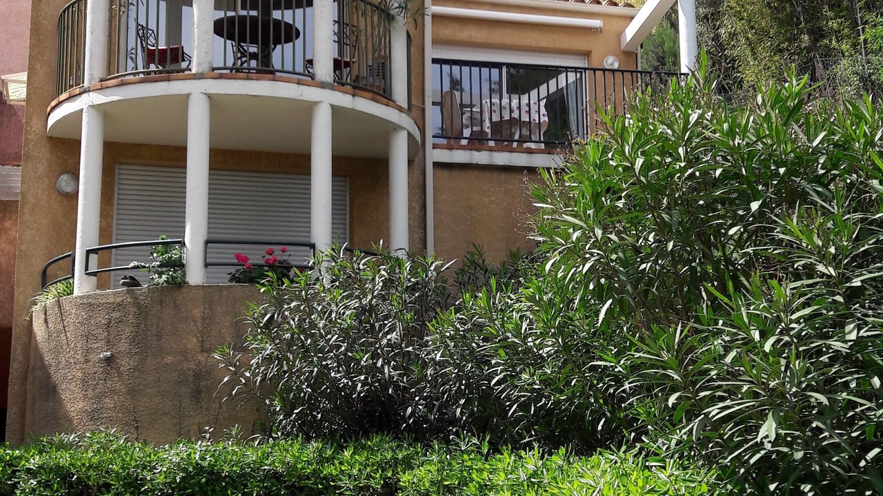 Photo of Outdoor in Collioure