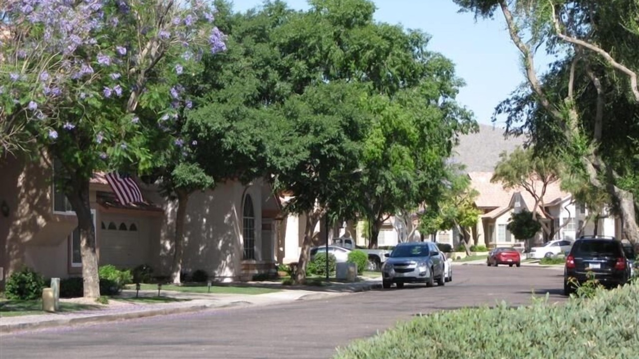 Photo of Others in Mountain Park Ranch