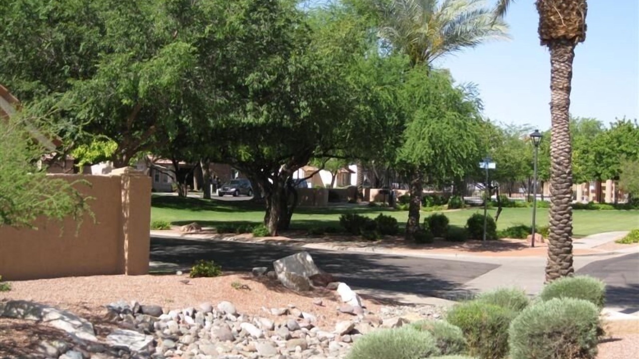Photo of Others in Mountain Park Ranch