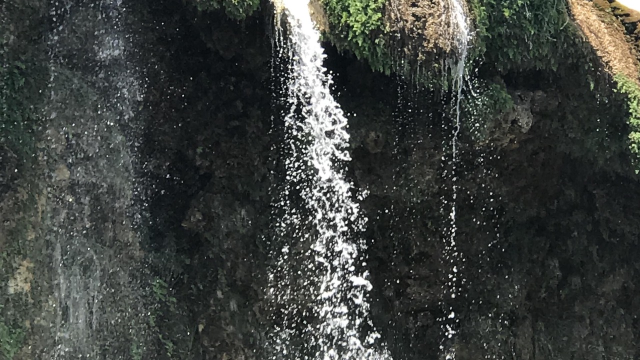 Photo of Others in Buchanan Dam