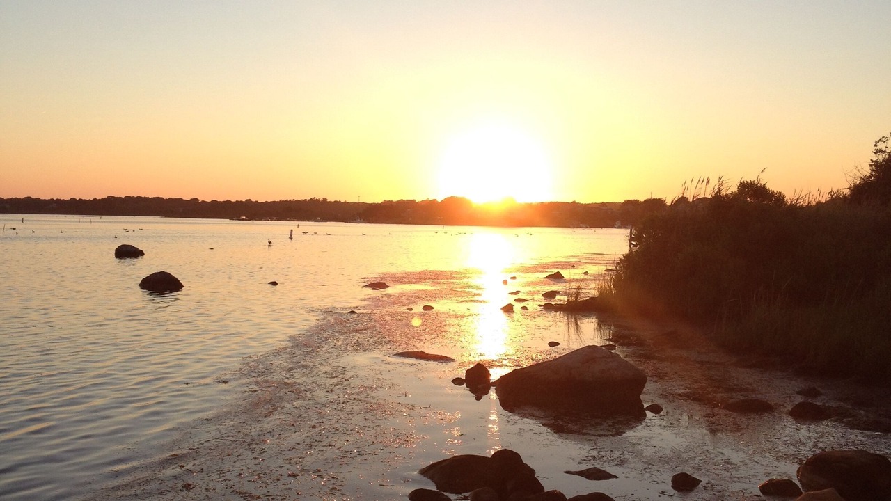 Photo of Others in Charlestown