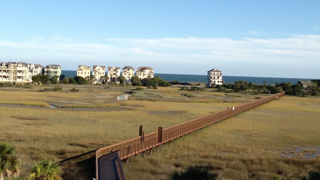 Photo of Others in Palmetto Dunes