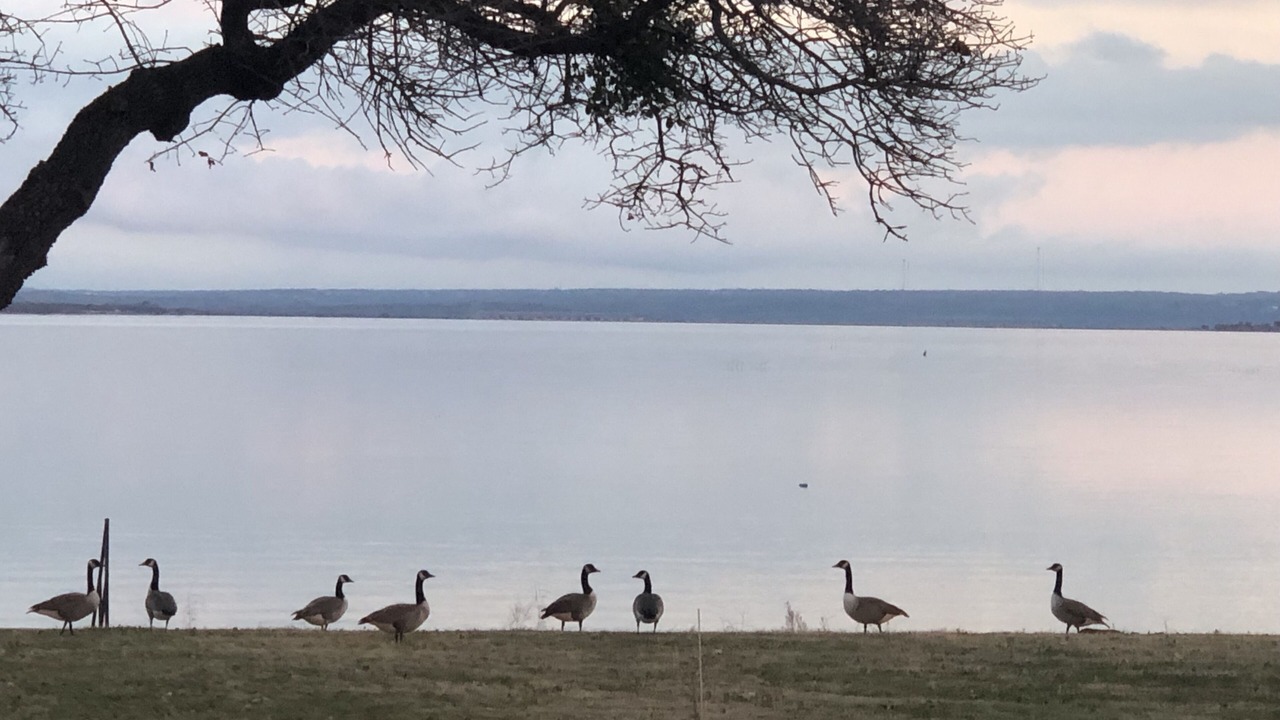 Photo of Others in Buchanan Dam