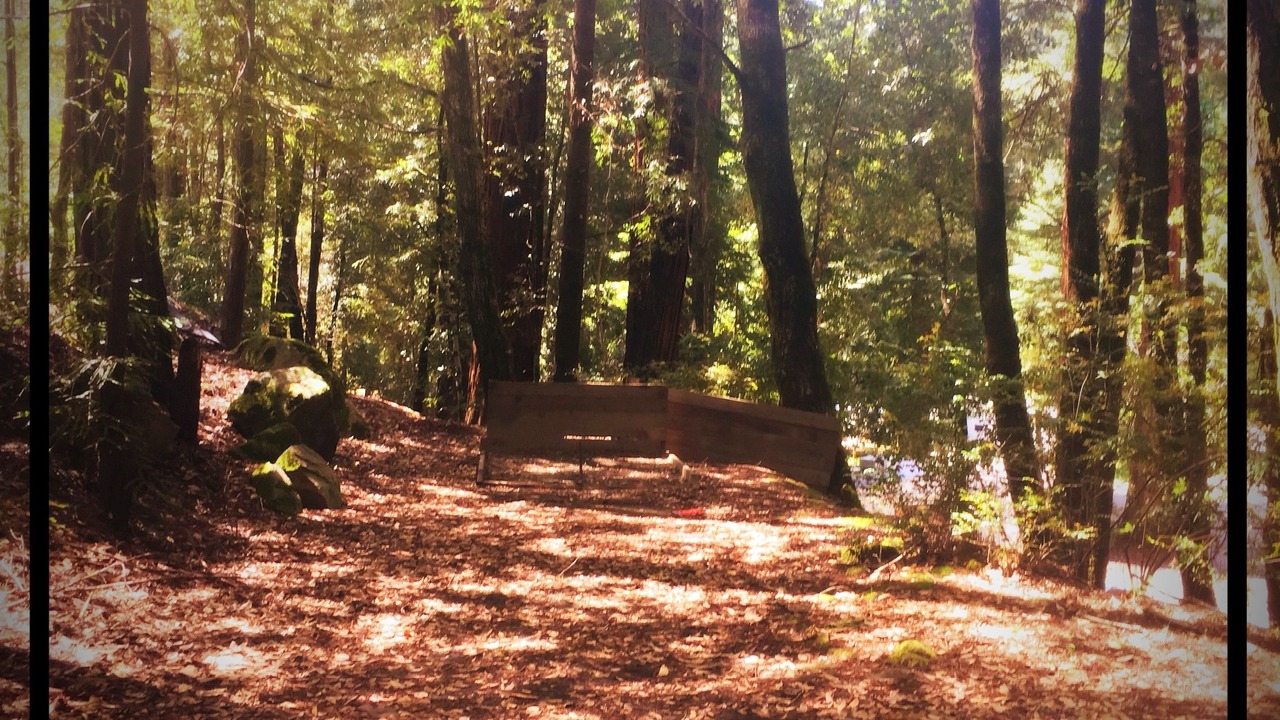 Photo of Others in Piercy