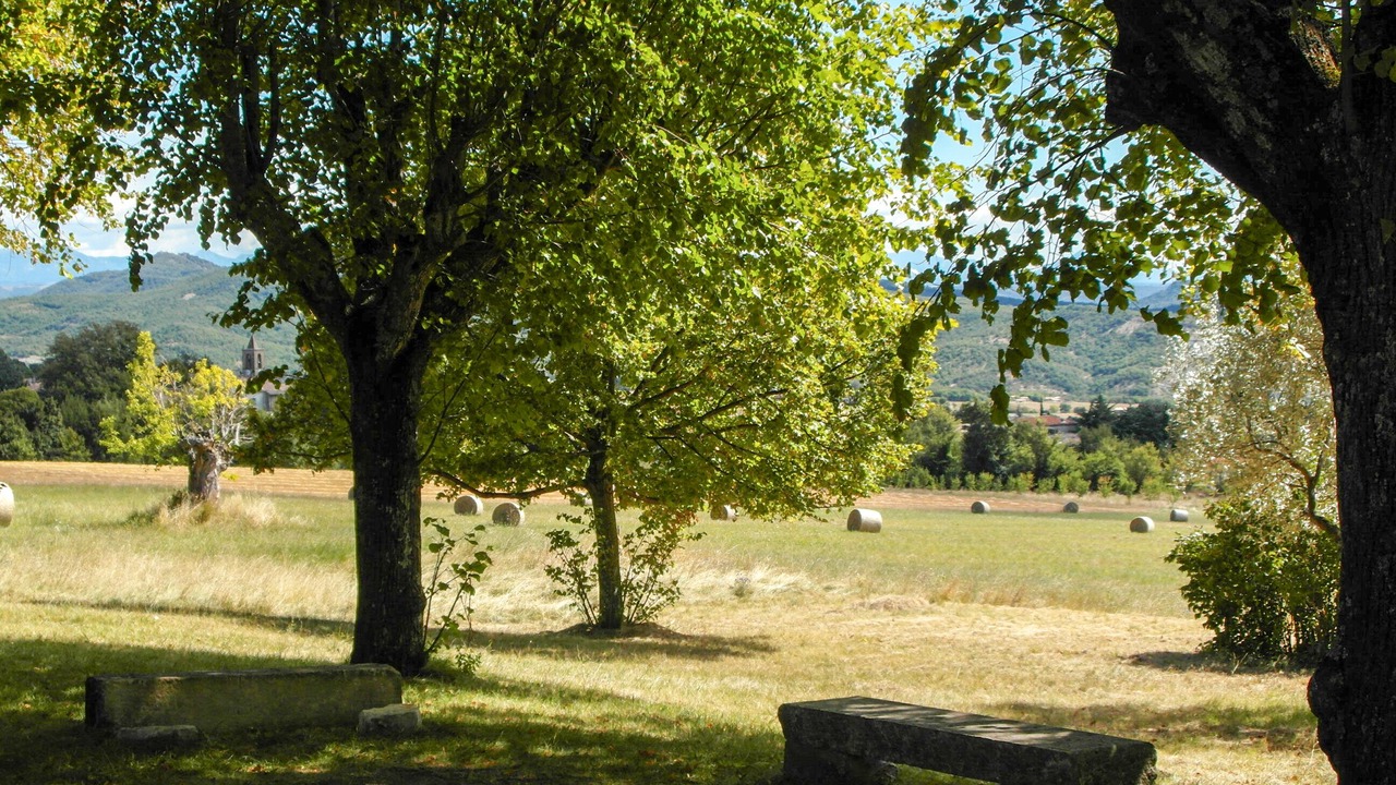 Photo of Outdoor in Cruis