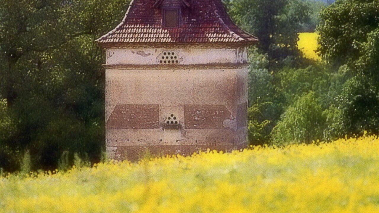 Photo of Outdoor in Livers-Cazelles