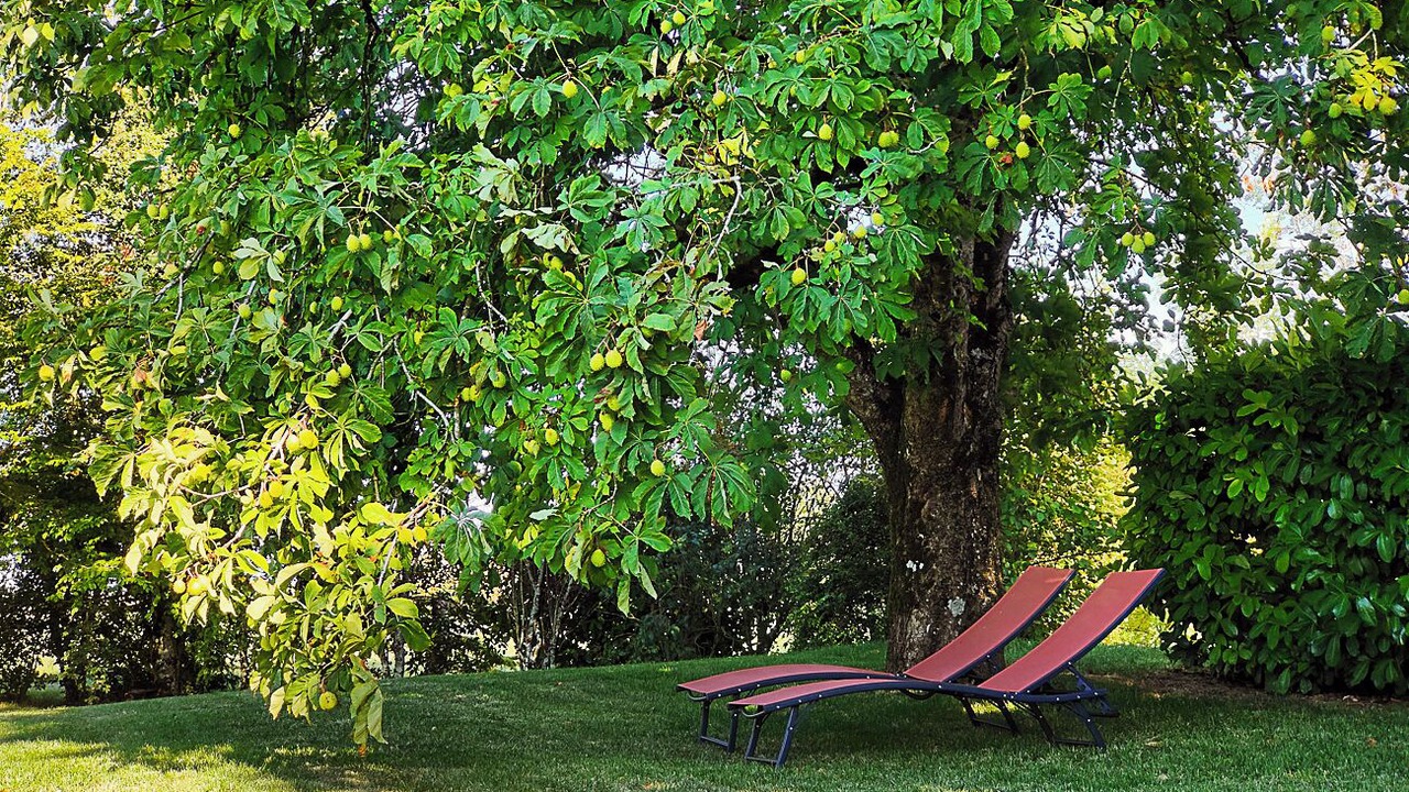 Photo of Outdoor in Livers-Cazelles