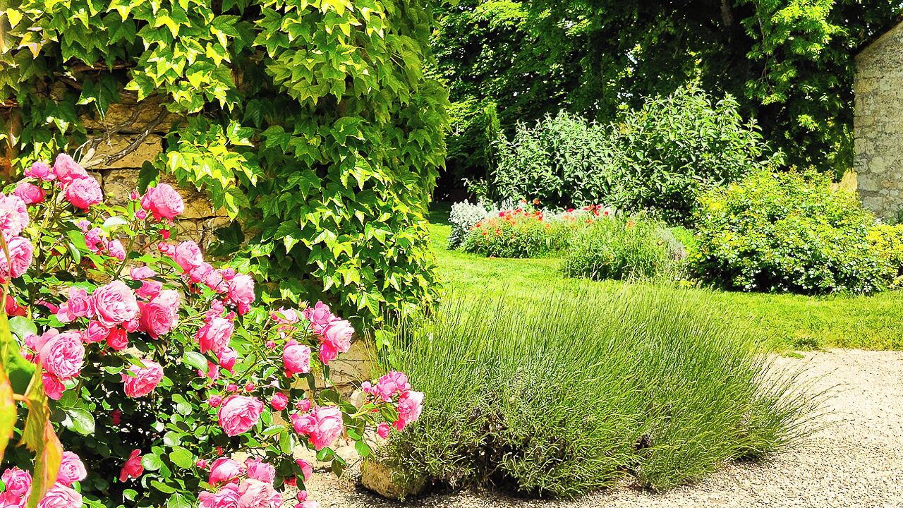 Photo of Outdoor in Livers-Cazelles