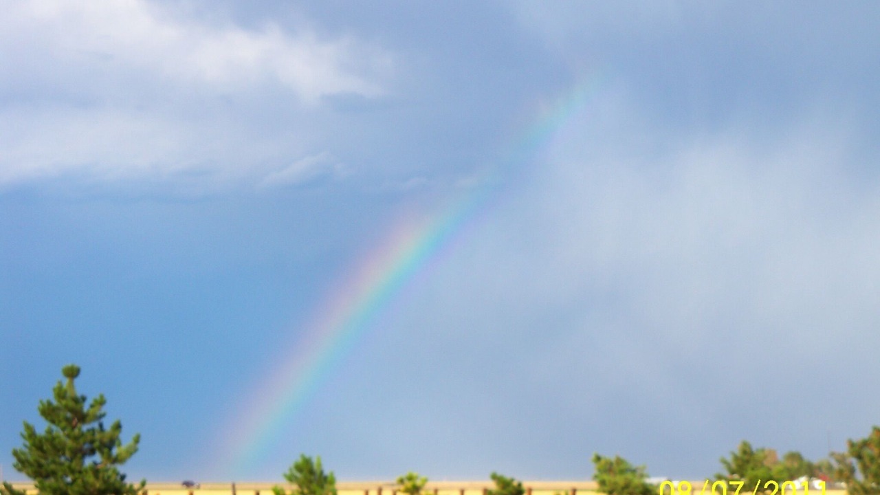 Photo of Others in Sublette