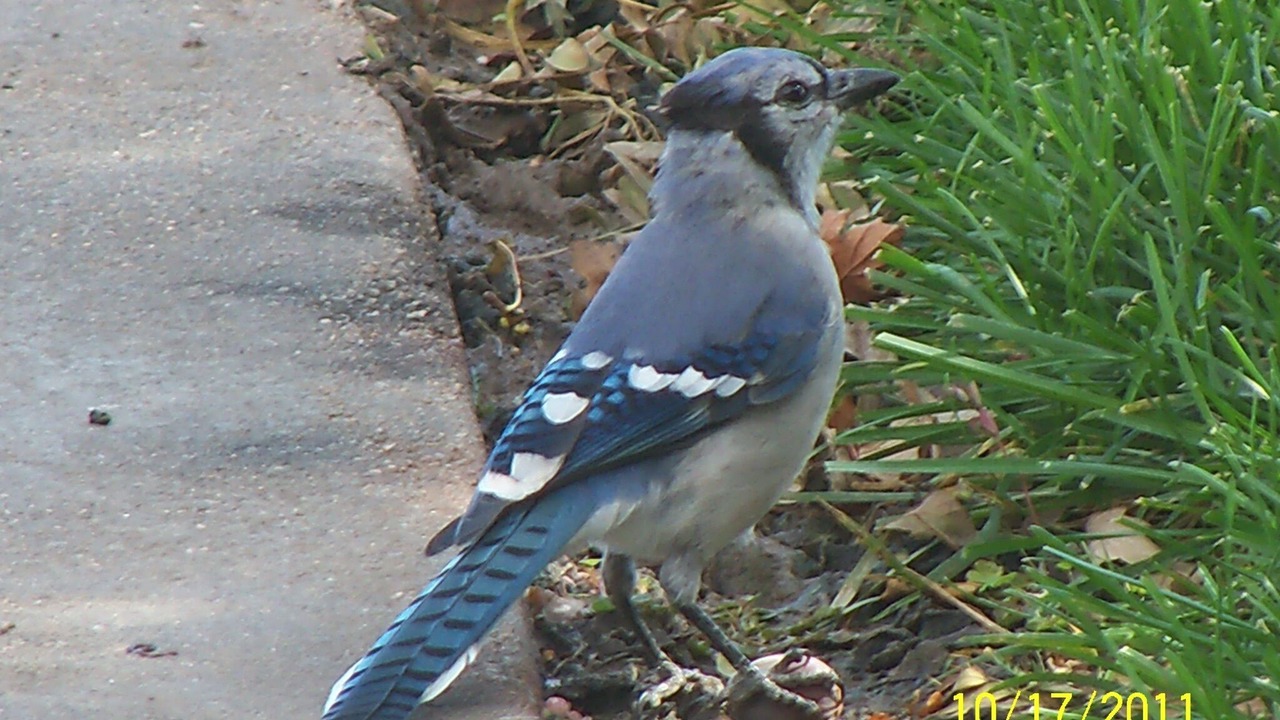 Photo of Others in Sublette