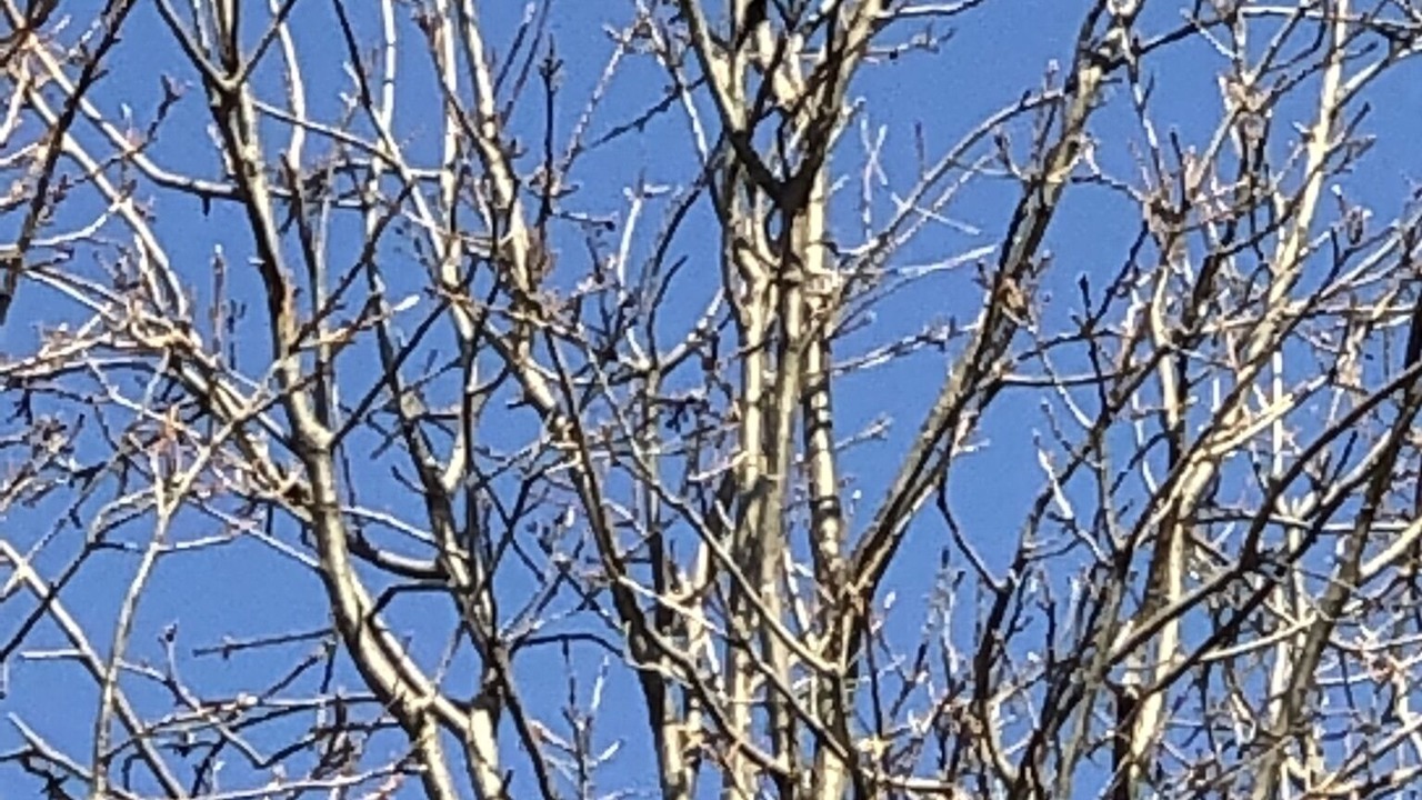 Photo of Others in Sublette