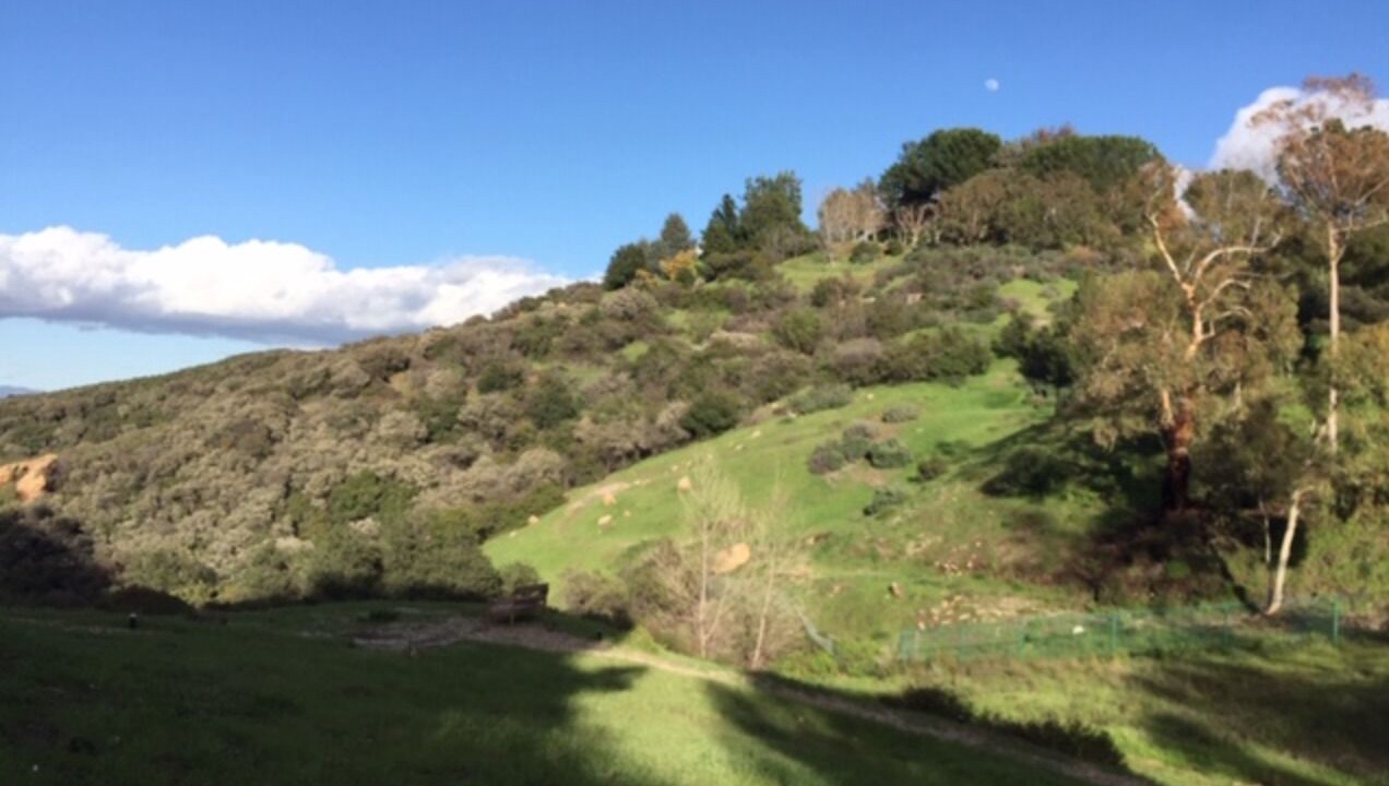 Photo of Others in Topanga