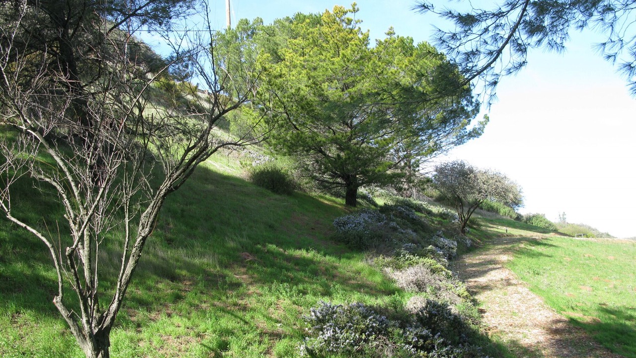 Photo of Outdoor in Topanga